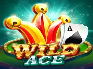 Play2Win Casino screenshot